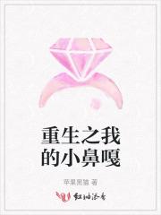 重生之我的小傻子完结