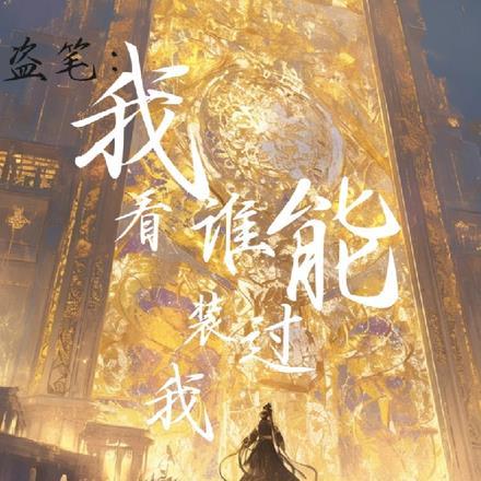 盗笔我看谁能装过我的书包