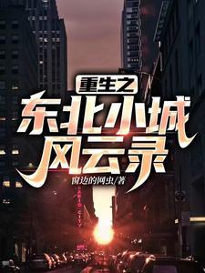 重生之东北小城风云录 窗边的网虫