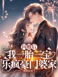 闪婚后我一胎三宝乐疯豪门婆家全文