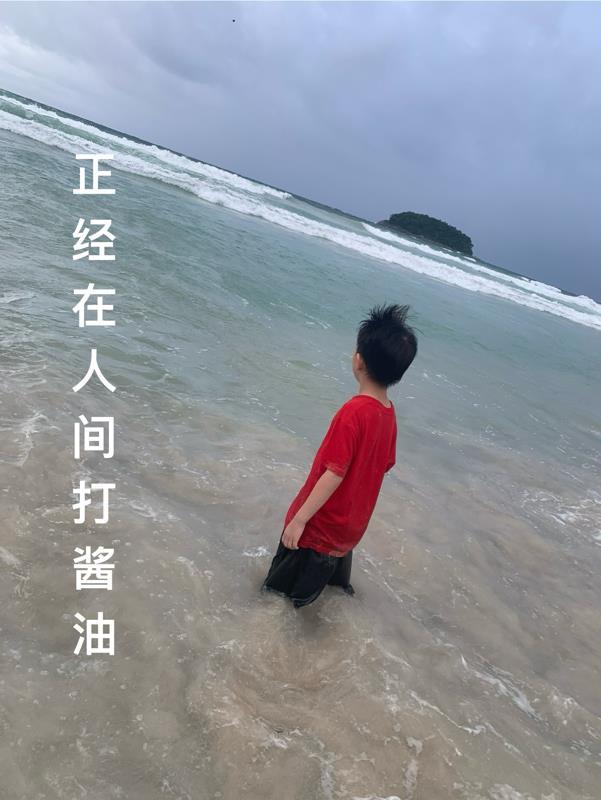 正经在人间打酱油 正经在人间打酱油