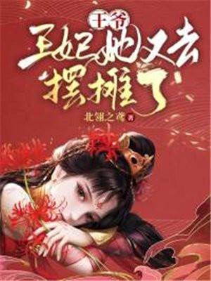 王爷王妃又去打劫了全文免费阅读