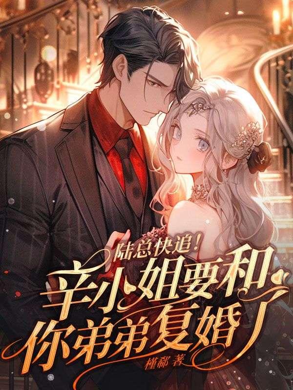 陆总快追辛小姐要和你弟弟复婚了