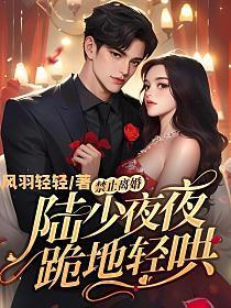 禁止离婚!陆少夜夜跪地轻哄 第311章