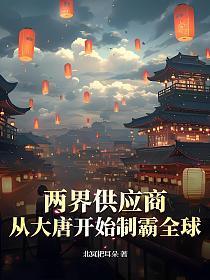 两界供应商从大唐开始制霸全球免费