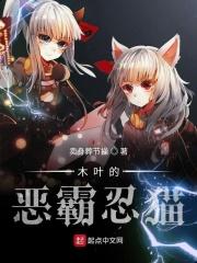木叶恶霸忍猫怎么样