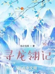 寻龙记ol