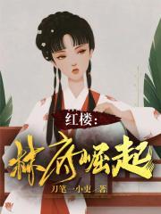 红楼林府崛起 第260章