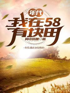 年代我在58有块田风中折腰