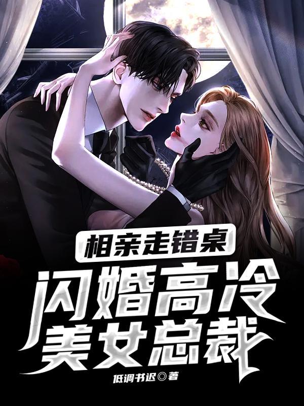 闪婚高冷美女总裁(低调书迟)