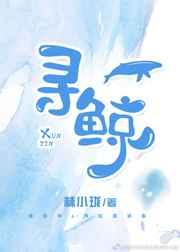 寻鲸电商