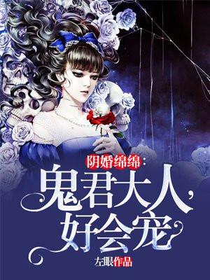 阴婚绵绵鬼君
