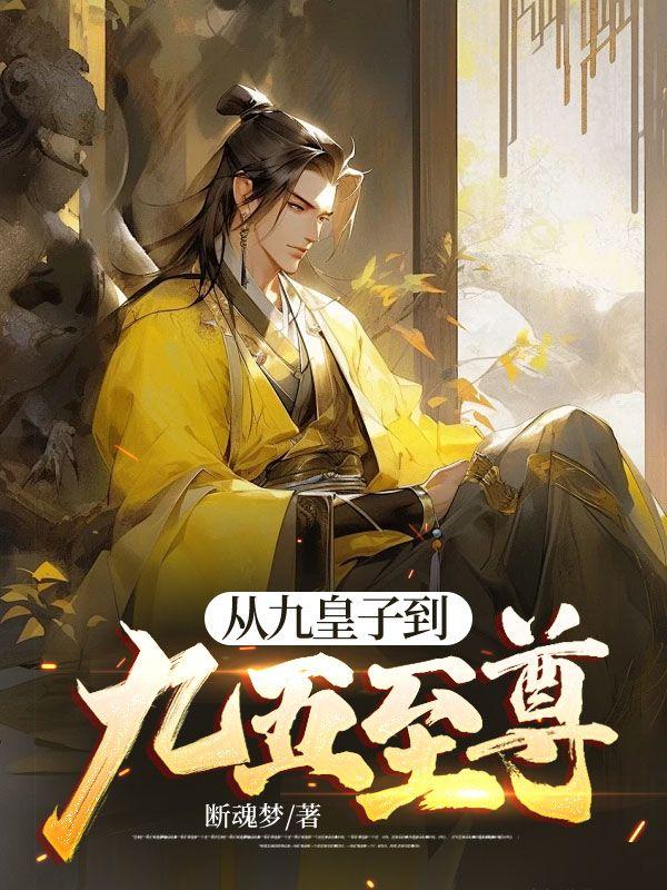 九皇子传