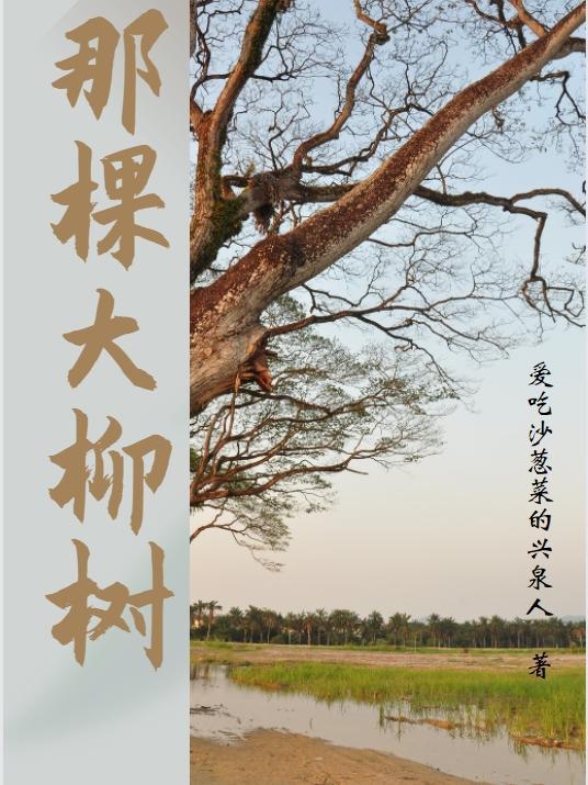 那棵大柳树直播视频