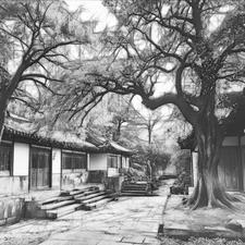 账房先生礼单封面正确写法 账房先生礼单封面正确写法