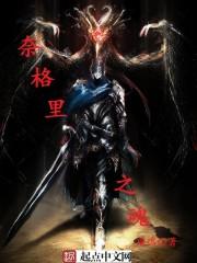 奈格里之魂怎么样