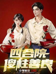 四合院傻柱别样人生