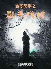 全职高手之影子代打TXT百度免费