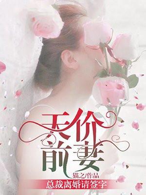 天价婚约总裁前妻很抢手免费阅读笔趣阁