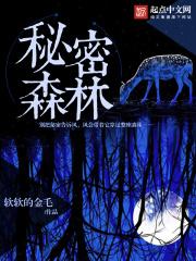 秘密的森林韩剧在线观看免费全集电视剧高清