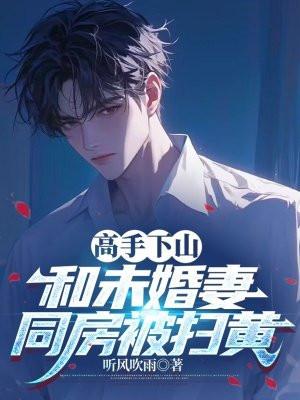 高手下山我的绝色总裁未婚妻