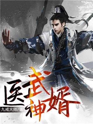 医武神婿第二部