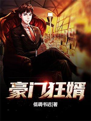 豪门狂婿免费阅读