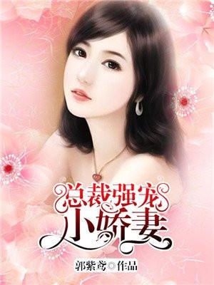 总裁强宠小娇妻电视剧