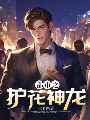 护花状元在都市