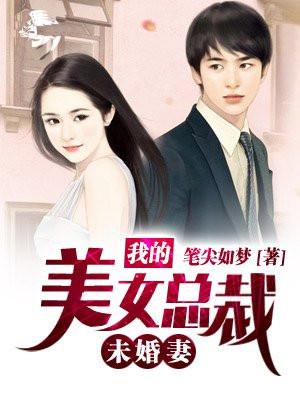 我的美女总裁未婚妻沈浪