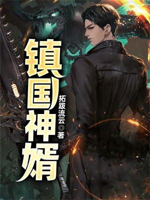 镇国神婿漫画