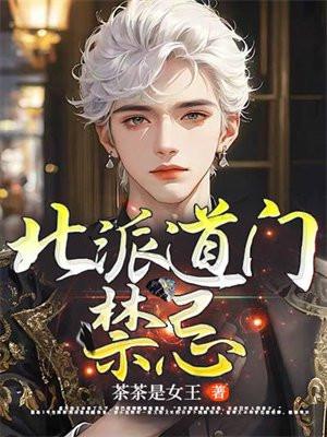 北派是什么意思啊