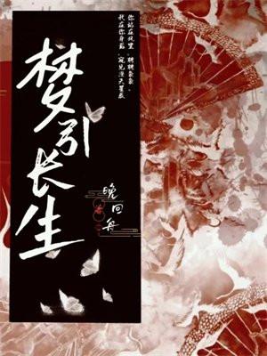 梦长生飞砖