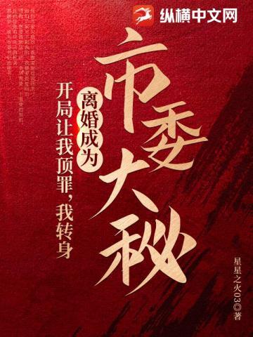 我转身离婚成为市委大秘的名字