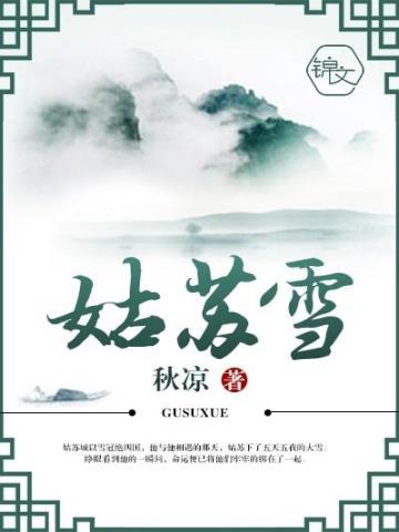 姑苏雪影是什么意思