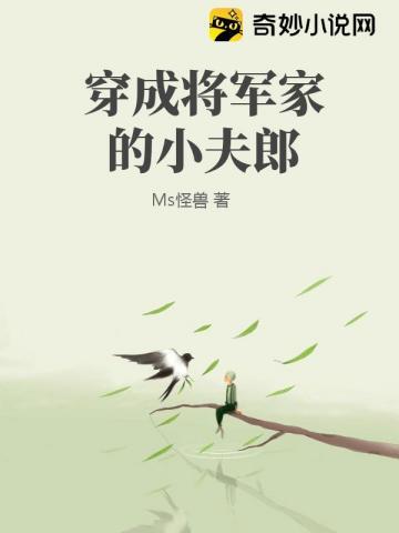 穿成将军家小夫郎全文TXT