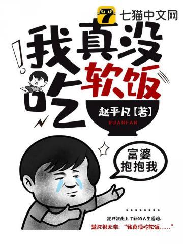我真没吃软饭全集视频17