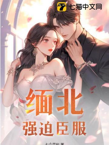 缅北强迫臣服的