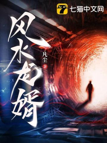 风水龙婿TXT