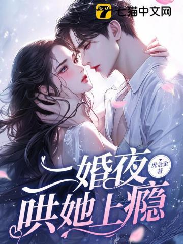 二婚新妻宠上瘾