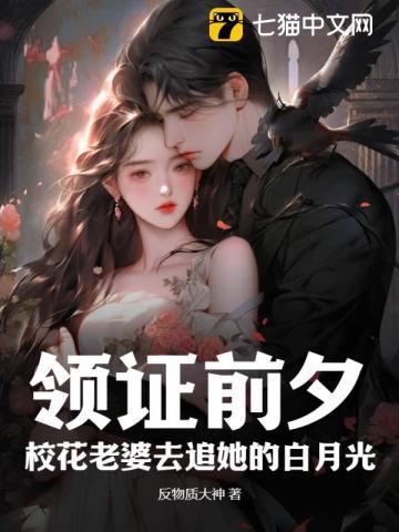 校花老婆去追她的白月光 反物质大神