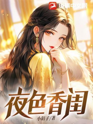 夜色t v