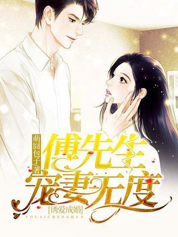 傅先生宠妻无度剧情