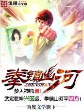 龙蛇演义2之拳镇山河的章节