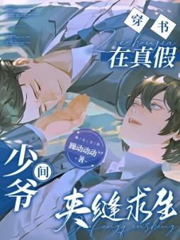 真假少爷晋江