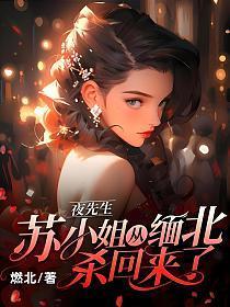 苏小姐从缅北杀回来了大结局