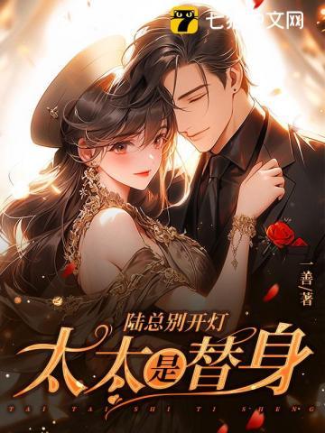 陆总别开灯太太是替身 陆总别开灯太太是替身