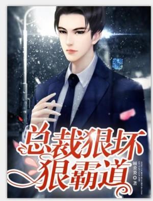总裁狠坏狠霸道全文免费阅读夜