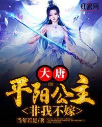 大唐平阳公主驸马