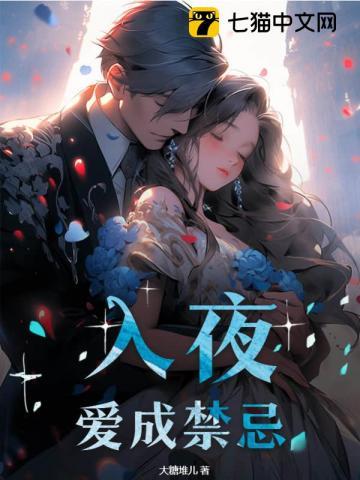 入夜后全文免费阅读
